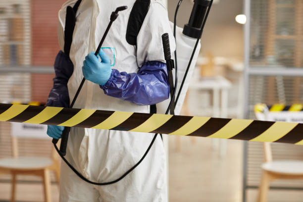 Professional Sewage Cleanup technician working in Catonsville, MD